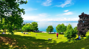 Wide-angle view of Lake Geneva park with vibrant green trees, people walking and picnicking, reflecting the serene atmosphere and natural beauty. Ideal for lake geneva walks by duration.